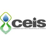 logo ceis def